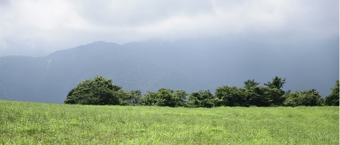 富士丘牧草地