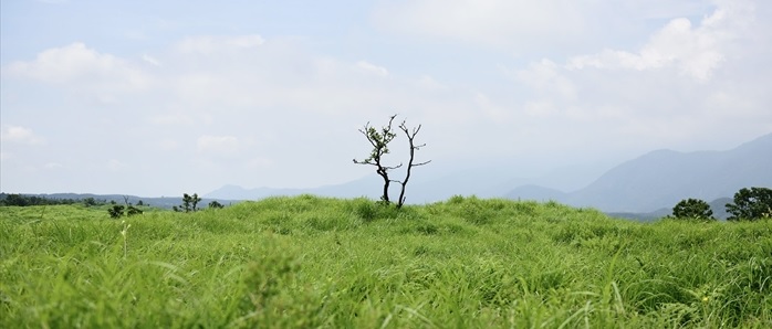 県境の丘